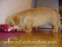 puce_12_20211128_1225482336